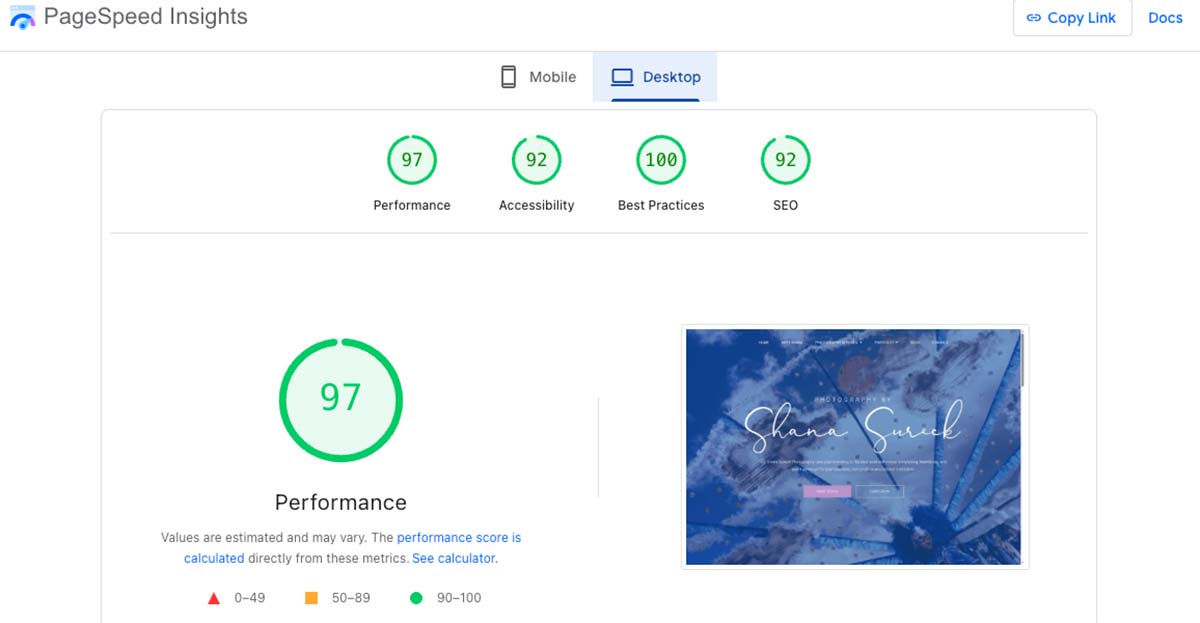 PageSpeed Insights report showing performance and Core Web Vitals, WordPress SEO for Pioneer Valley professional services technical optimization example