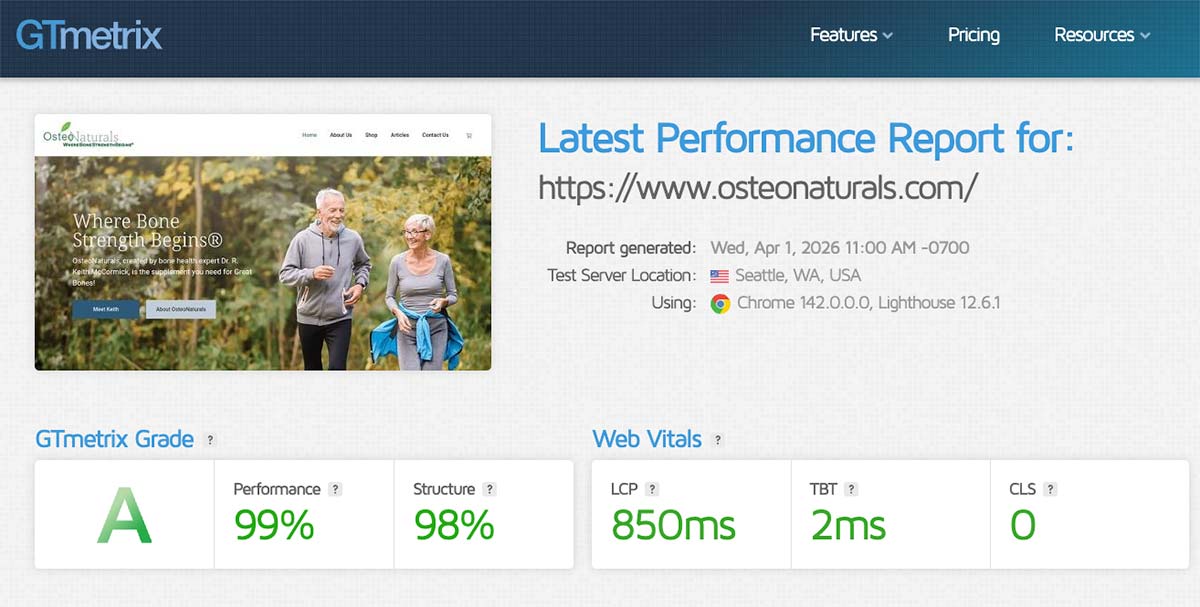 Website performance report showing load speed and scores, Pioneer Valley WordPress site optimized for speed and technical health