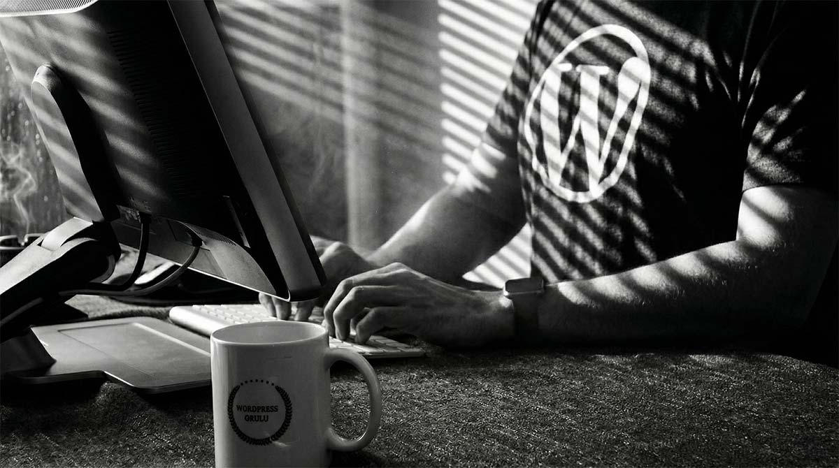 Person working at a computer wearing a WordPress shirt, representing managing and improving WordPress SEO in Western Massachusetts
