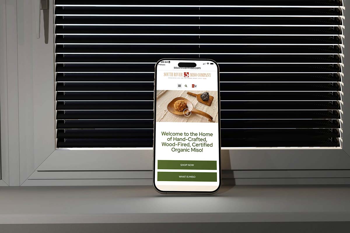Mobile ecommerce homepage on iPhone, Pioneer Valley WordPress web design optimized for small business